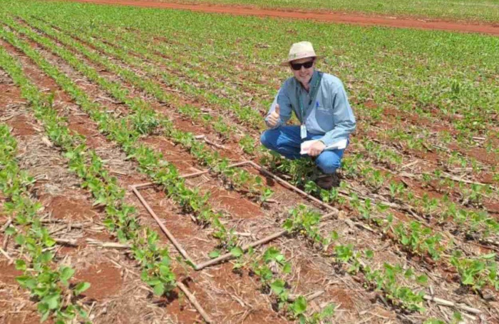 Programa enfatiza uso de pré-emergentes no manejo daninhas