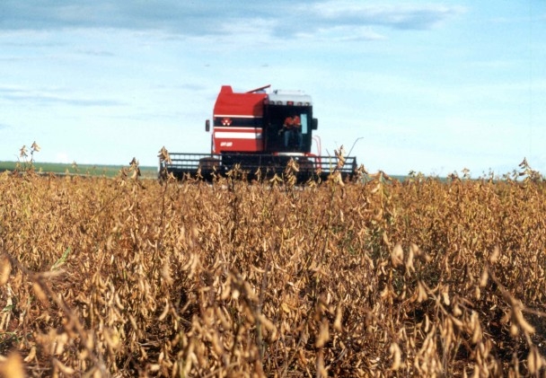 Massey Ferguson registra crescimento de 55% na Tecnoshow Comigo 2014