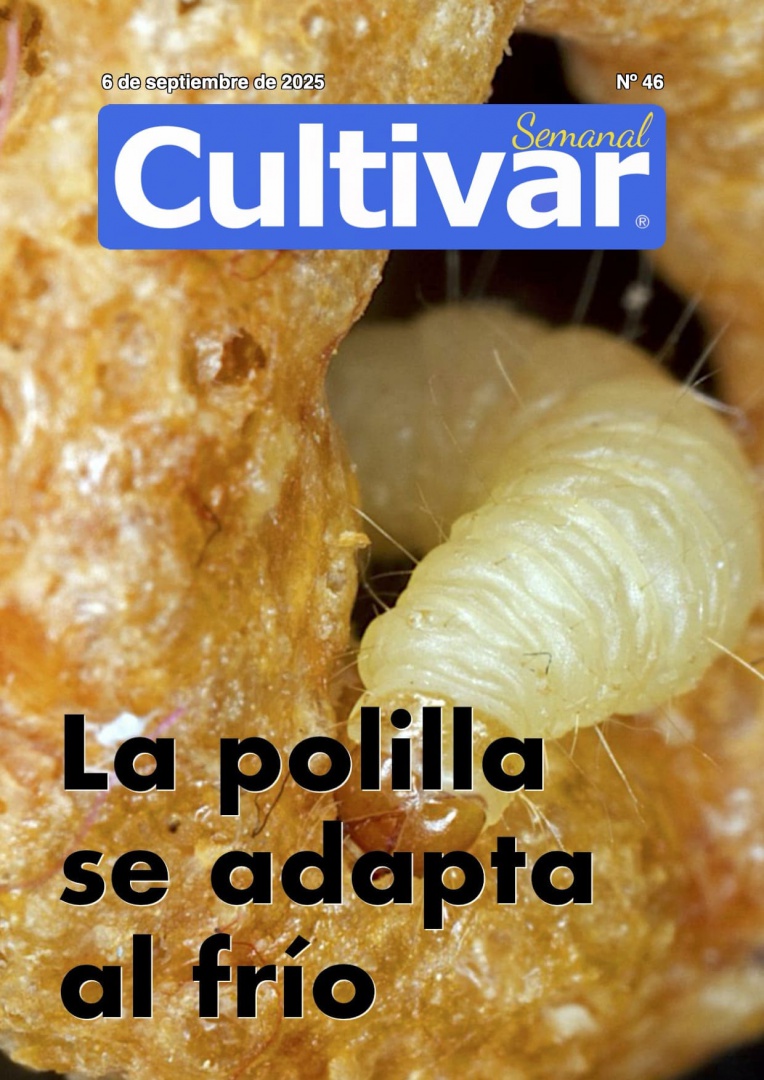 Cultivar Semanal 46