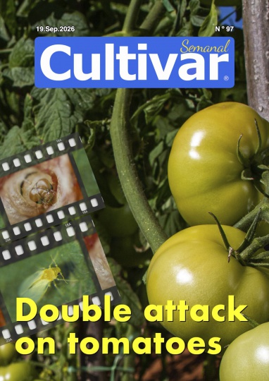 Cultiver chaque semaine 97