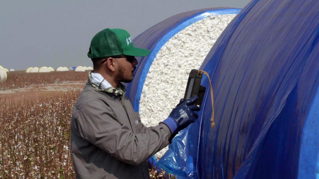 Tecnologia garante boas safras na Bom Futuro