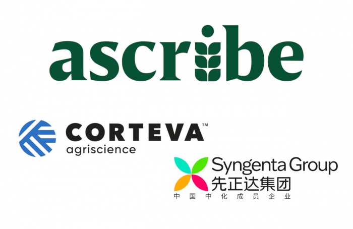 Ascribe Bio recebe US$ 12 milhões para lançar biofungicida Phytalix