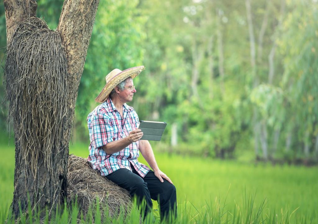 Aplicações de Inteligência Artificial impulsionam ganhos no agronegócio e traz inovação