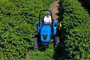 Dia de campo mostra vantagens da fertirrigação em café