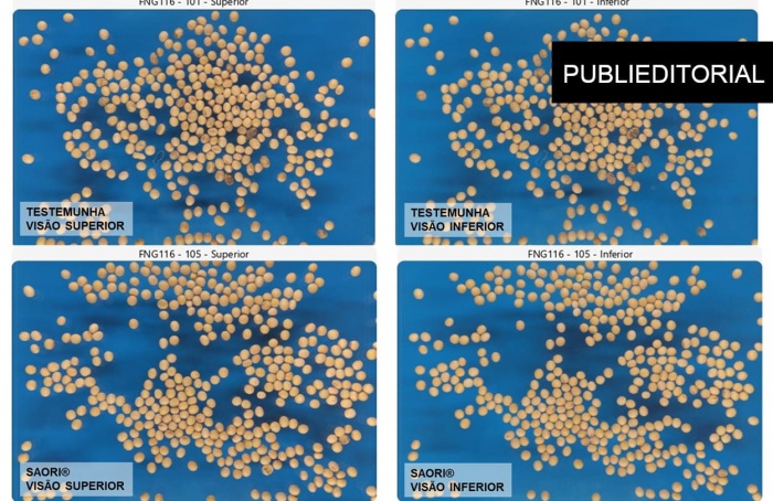 PHC Brasil apresenta resultados inéditos no controle da anomalia das vagens