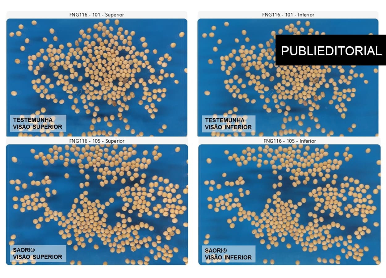 PHC Brazil presents unprecedented results in the control of pod anomaly