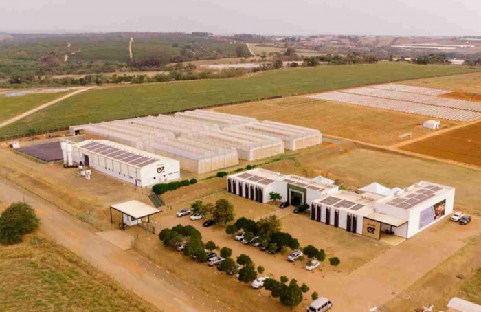 Enza Zaden firma parceria com Pairwise em hortaliças