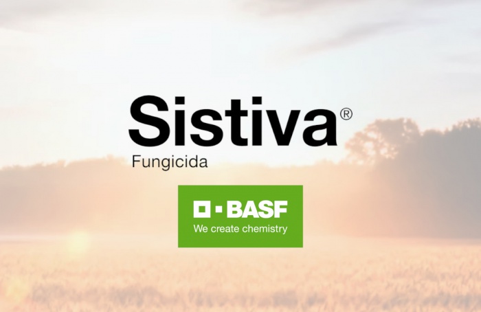BASF lança fungicida Sistiva para trigo