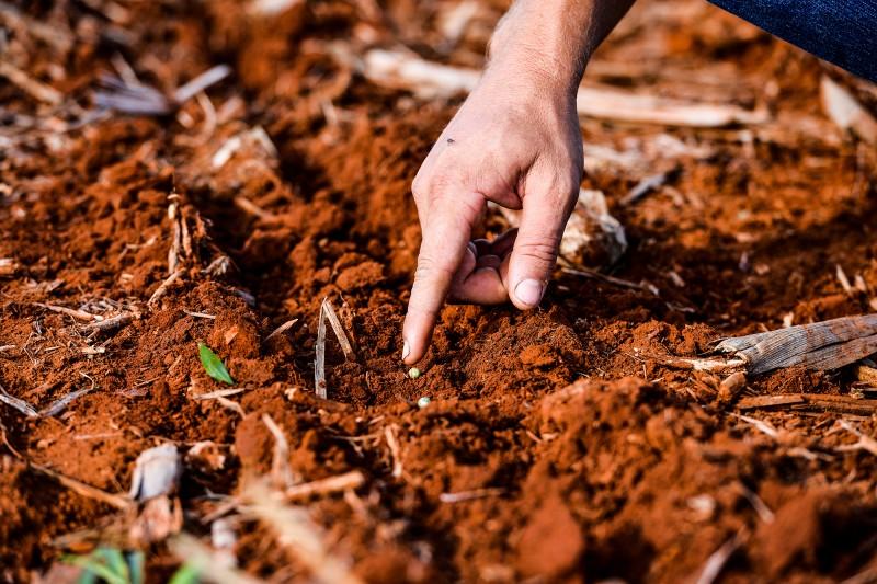 Agricultores são orientados sobre segunda safra de milho e demais culturas