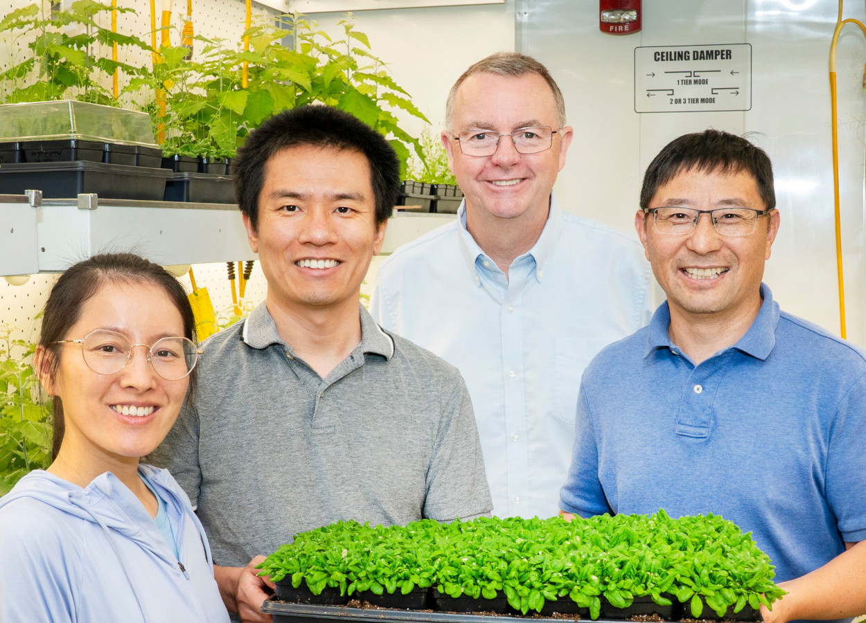 Pesquisadores do Laboratório Brookhaven: Lijun Qiao, Xianhai Zhao, John Shanklin e Chang-Jun Liu - Foto: David Rahner