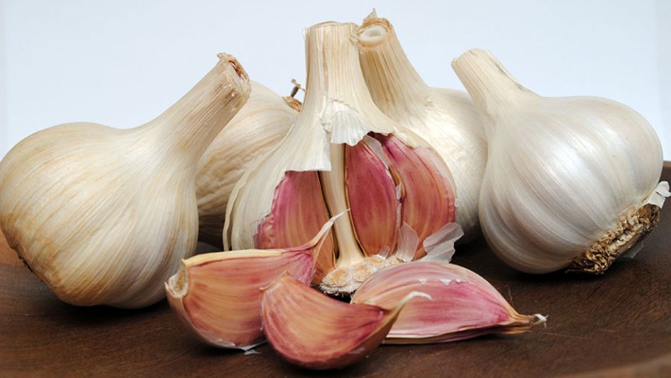 Foto: Paulo Lanzetta