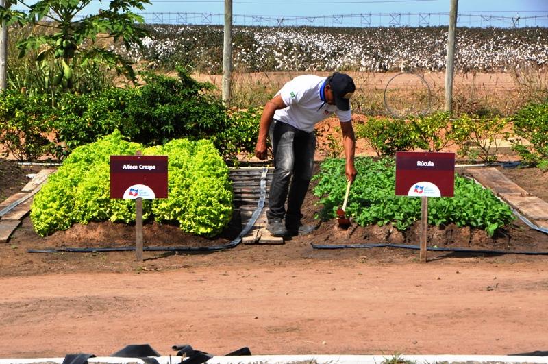 ​Agricultura familiar apresenta modelo de diversificação das atividades agrícolas durante a Bahia Farm Show 2017