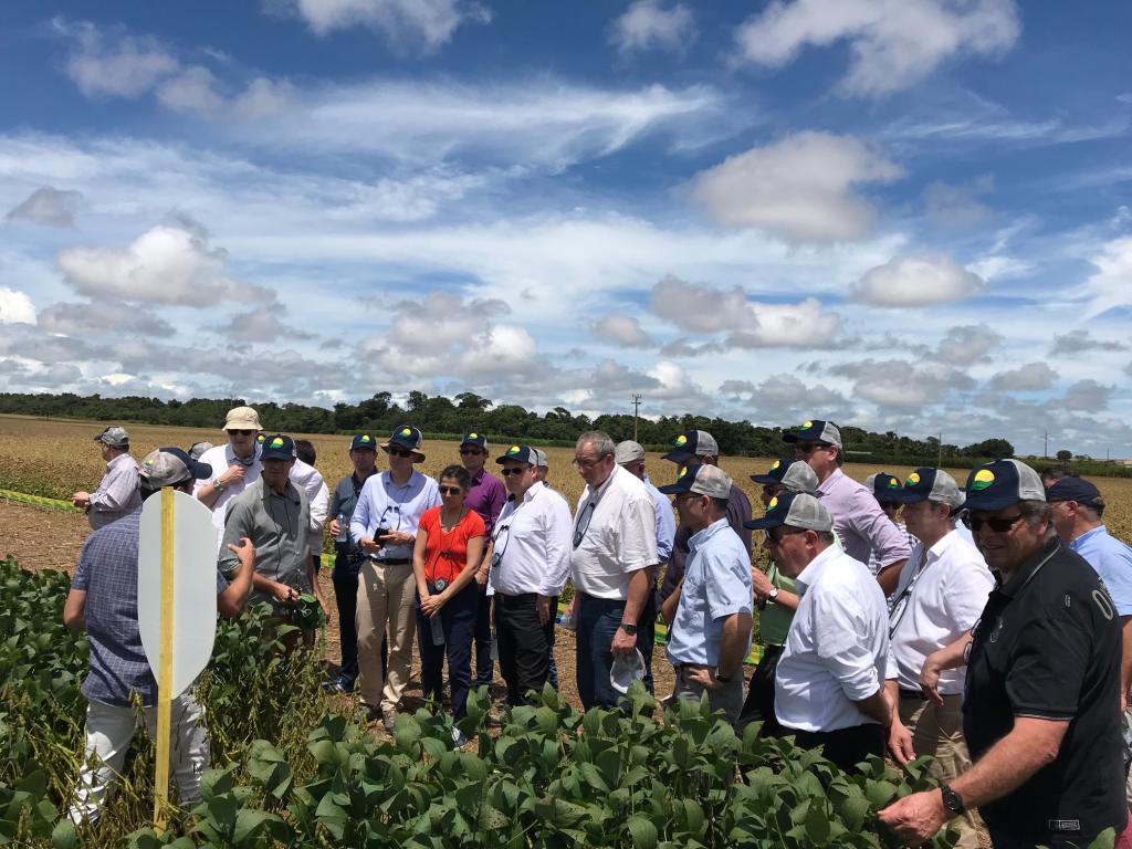 Campo Verde recebe visita de presidentes de cooperativas agrícolas francesas