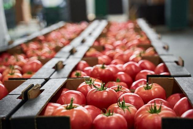 Relação de produtos da agricultura familiar com bônus em outubro já está disponível