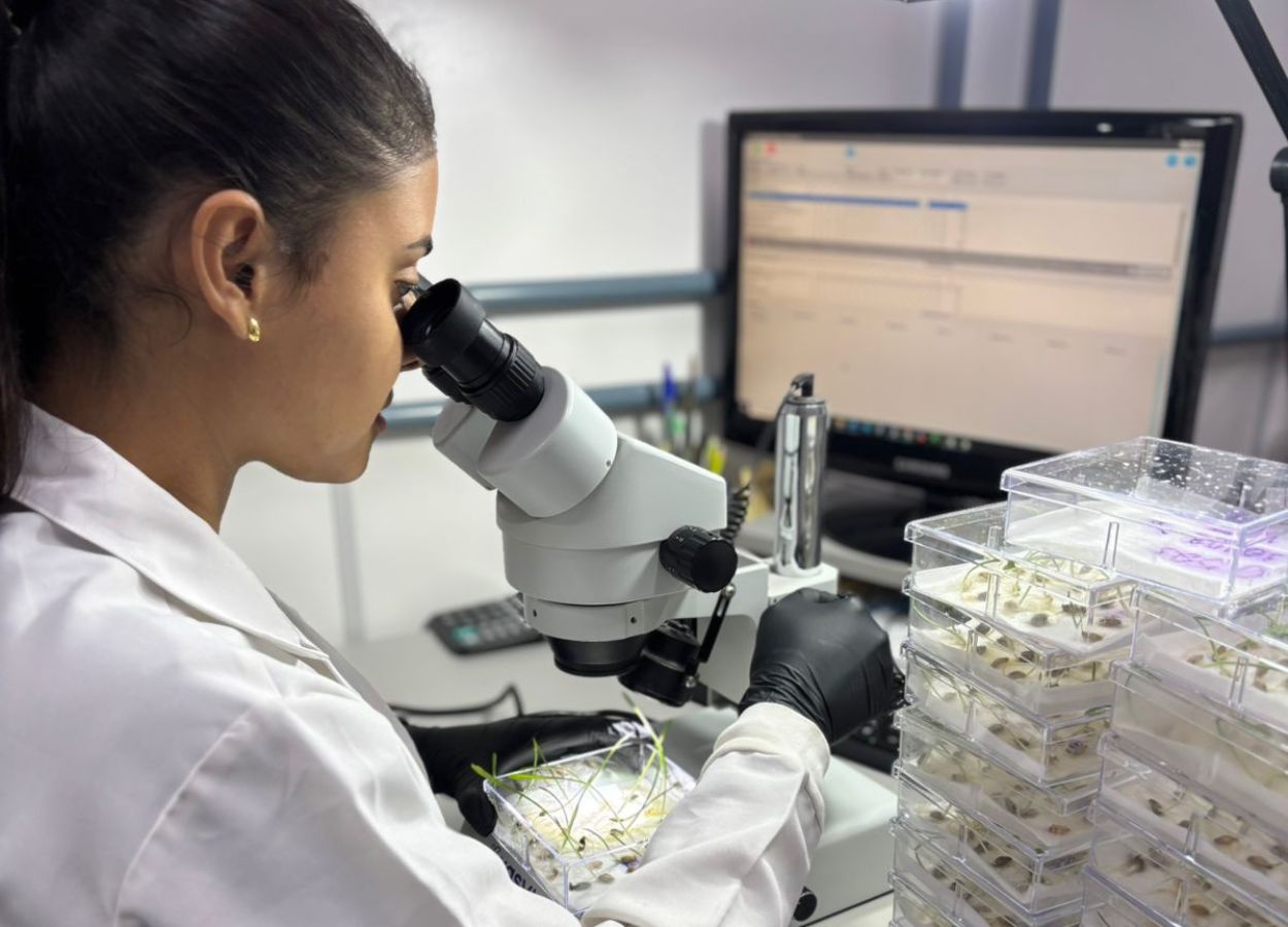 Laboratório da Apasem amplia estrutura em Ponta Grossa (PR)