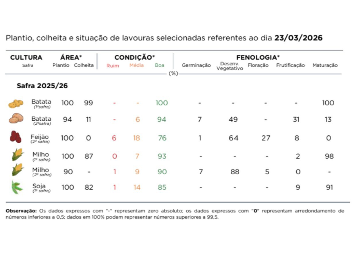 Boletim do Deral aponta variação nas lavouras e alerta para riscos na segunda safra
