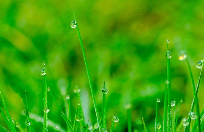 Outono terá calor acima da média e chuva irregular em Santa Catarina