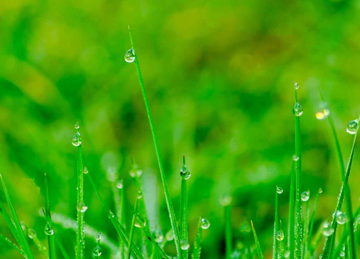 Outono terá calor acima da média e chuva irregular em Santa Catarina