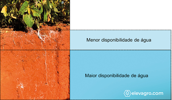 Figura 1 - Representação da disponibilidade de água em um perfil do solo com limitações para o crescimento radicular
