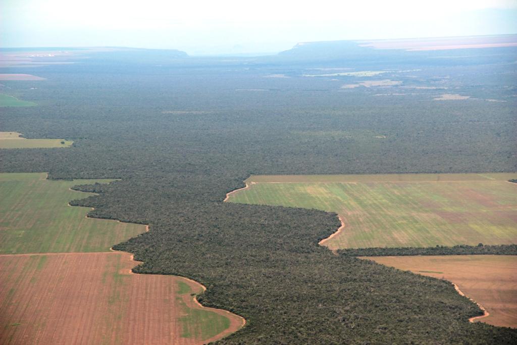 Oeste da Bahia abre mão de R$ 6,5 bilhões em favor da vegetação nativa da reserva legal
