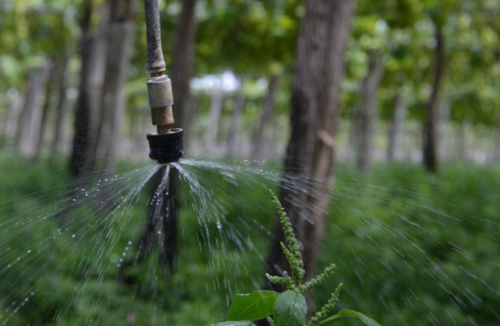 Embrapa abre inscrições para curso de manejo de irrigação em Petrolina, PE