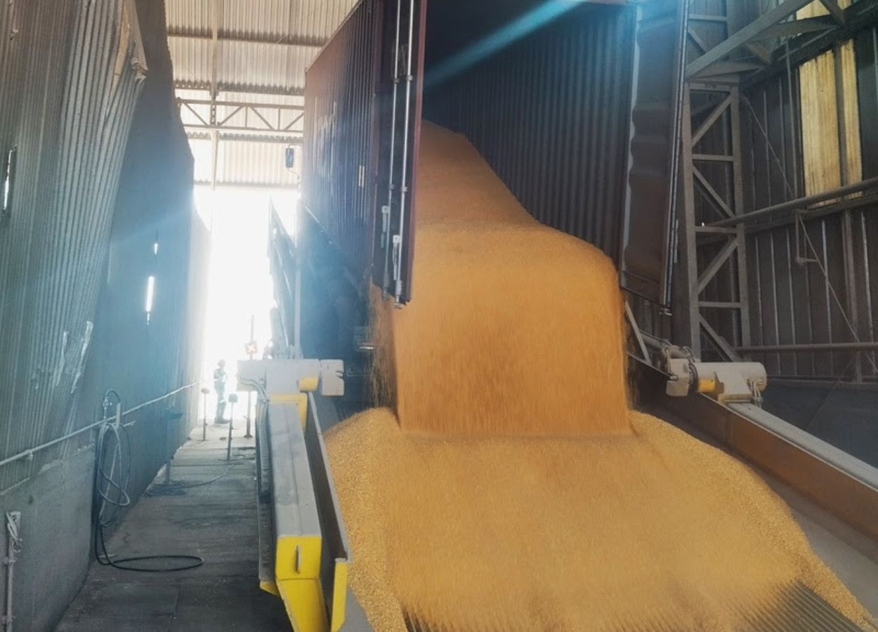 New tipper doubles Brado's grain flow in MT