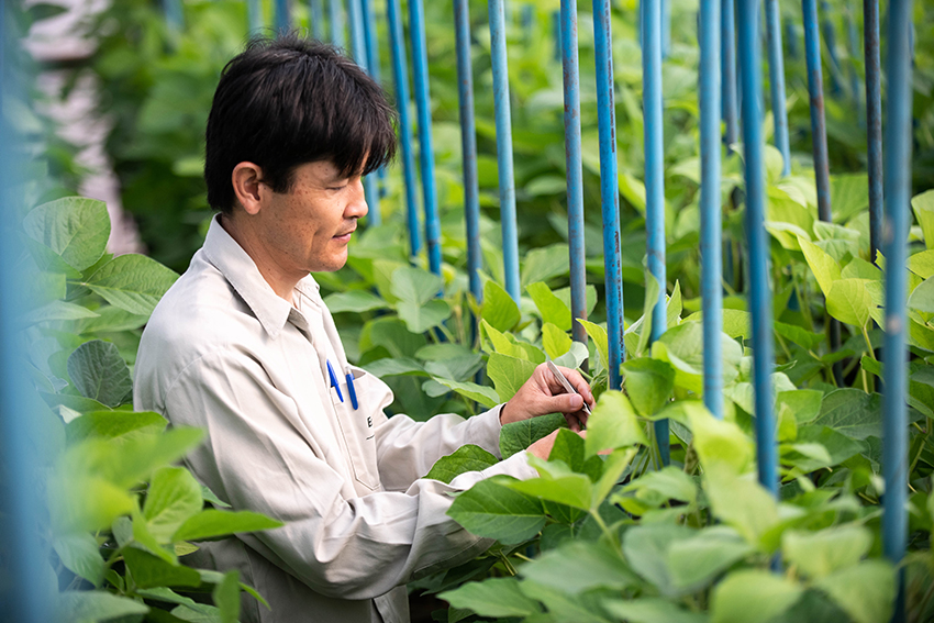 Ihara mostra portfólio completo para soja na Expodireto - Revista Cultivar