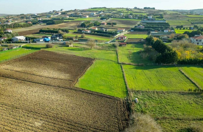 Seguro rural: 99% dos imóveis do PR atendem critérios ESG