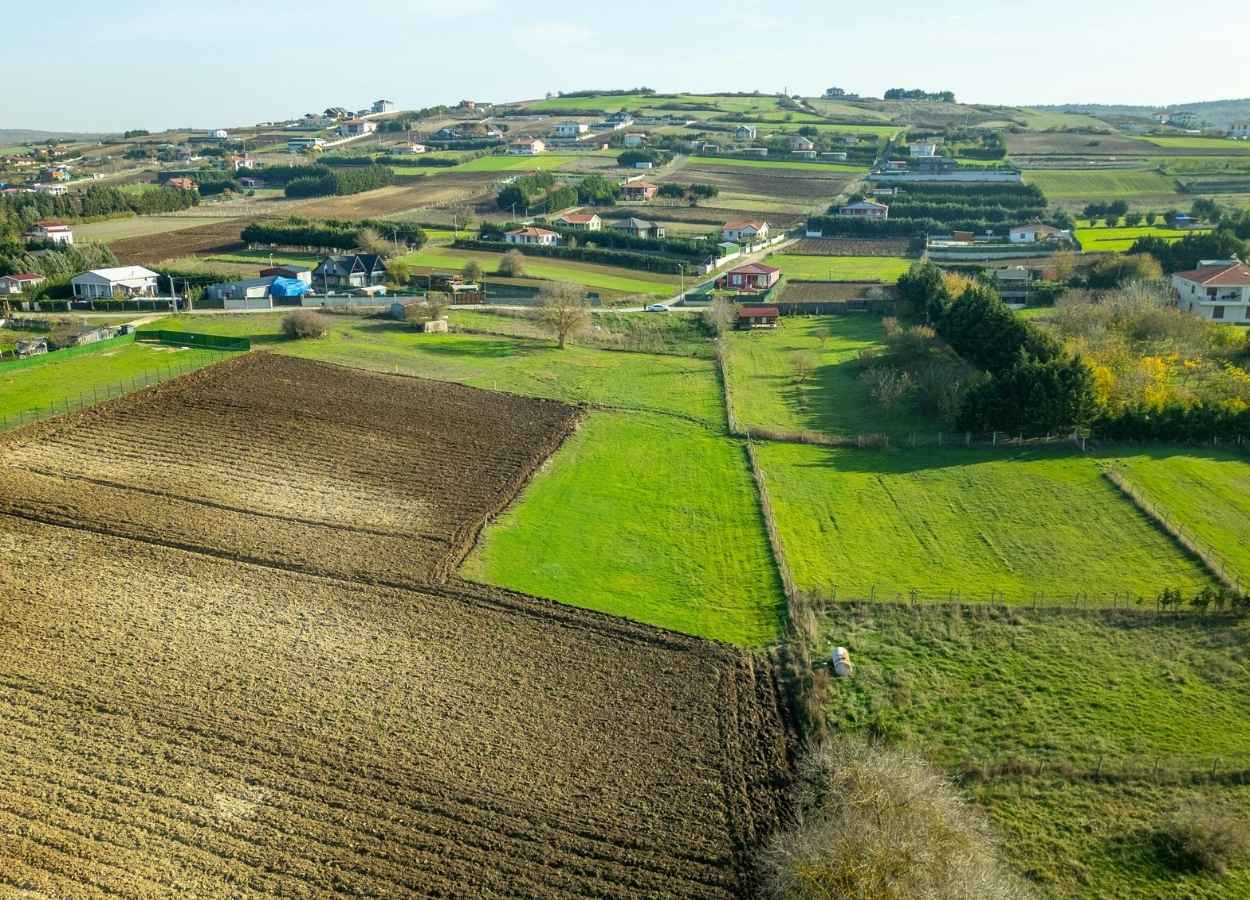 Seguro rural: 99% dos imóveis do PR atendem critérios ESG