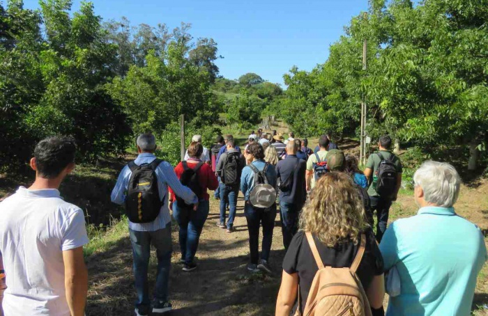 Universidade Federal de Santa Maria oferece 60 vagas para Curso Técnico em Fruticultura