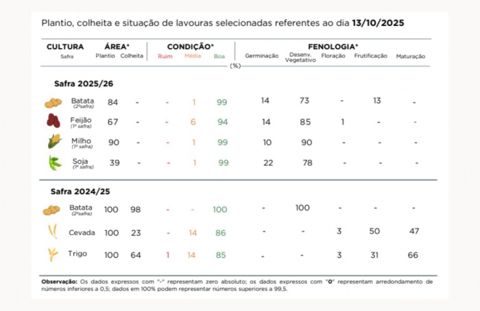 PR Safra 2025/26: chuvas trazem alívio e desafios ao campo