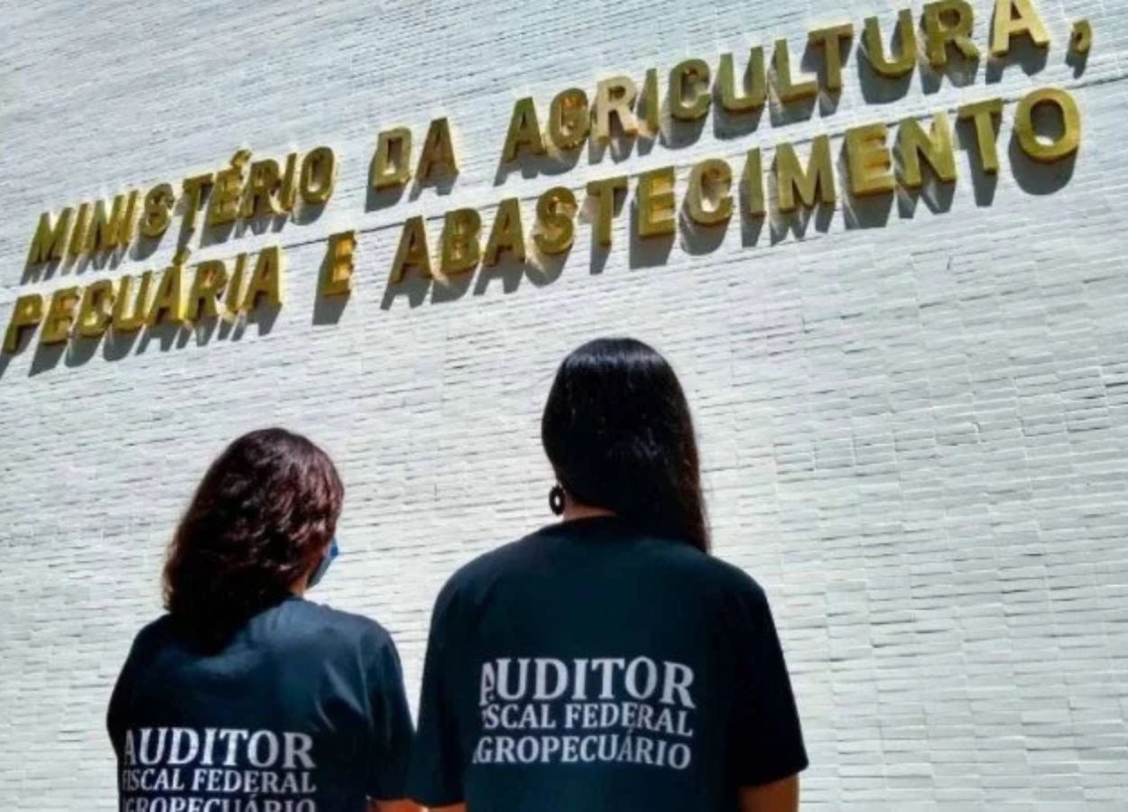 Justiça reconhece atribuições de auditores do Vigiagro, diz Anffa