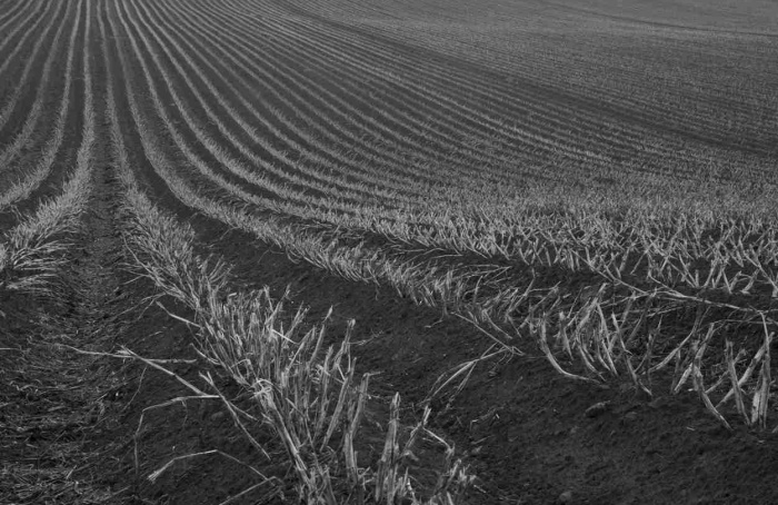 Práticas agrícolas intensivas aceleram degradação do solo