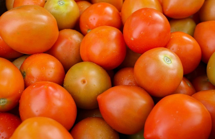 Conab aponta queda de 15,85% no preço do tomate