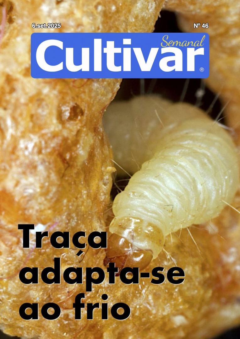Cultivar Semanal 46