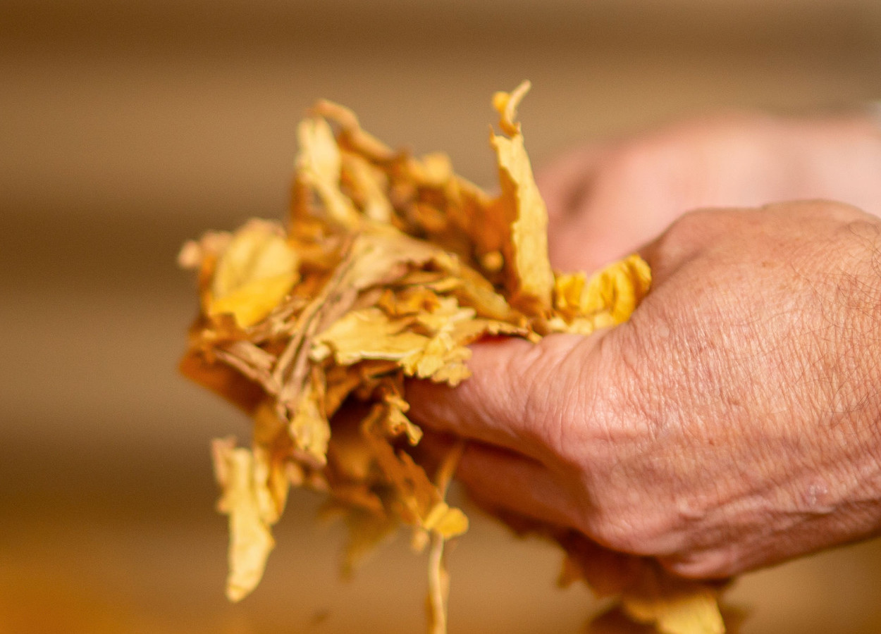 Foto:&nbsp;Felipe Krause