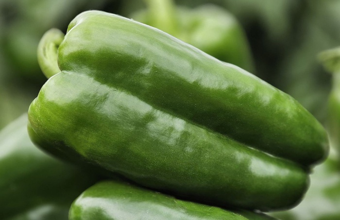 TSV Sementes e Superseed levam lançamentos à Hortitec 2025
