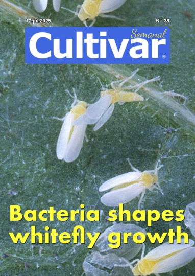 Cultivar Semanal 38