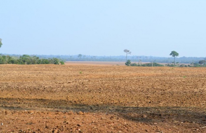 Defesa Sanitária de Rondônia promove fiscalização em áreas de cultivo de soja