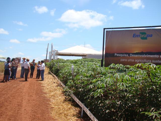 Na Showtec 2016, Embrapa enfatiza futuro sustentável