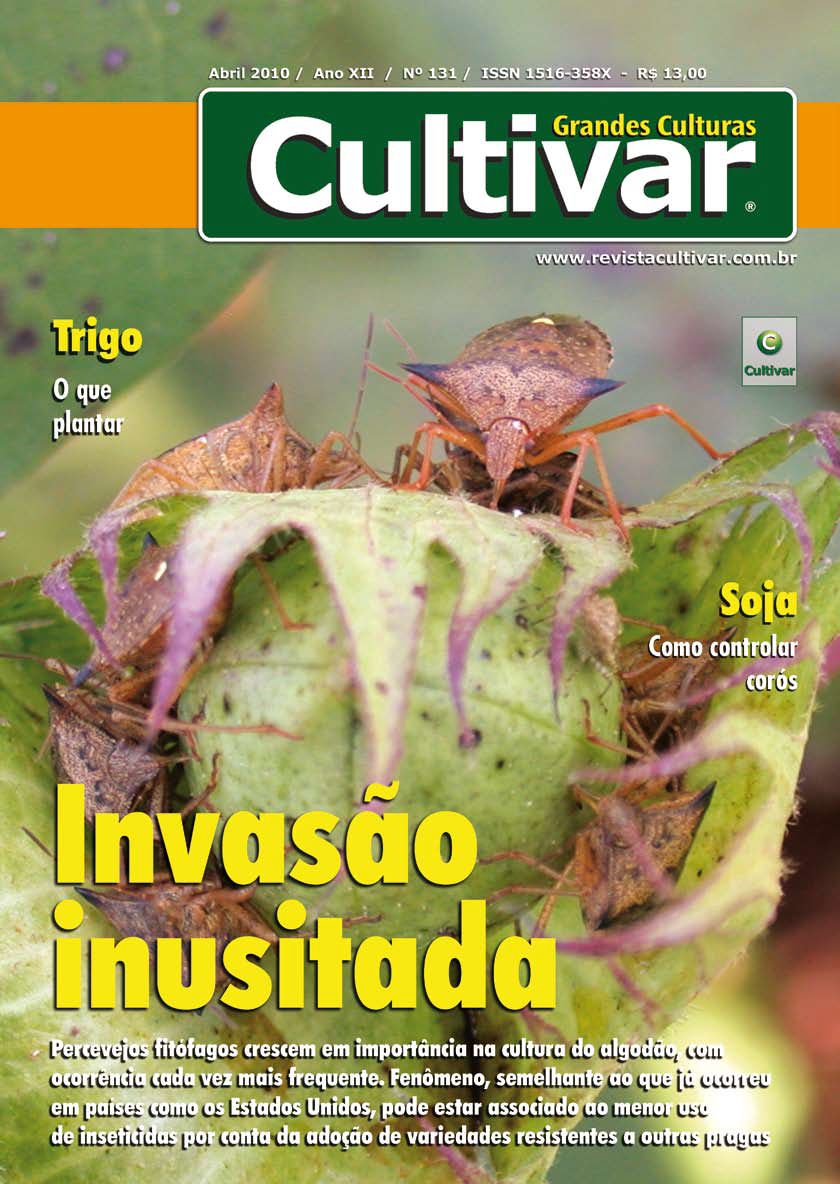 Invasão inusitada