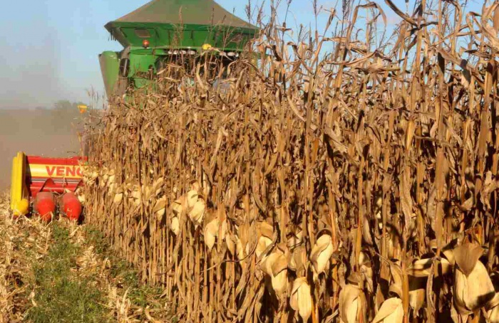 Tocantins bate recorde de produção de milho na 2ª safra