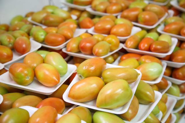 Preço do tomate negociado nas Ceasas está em queda, aponta Conab