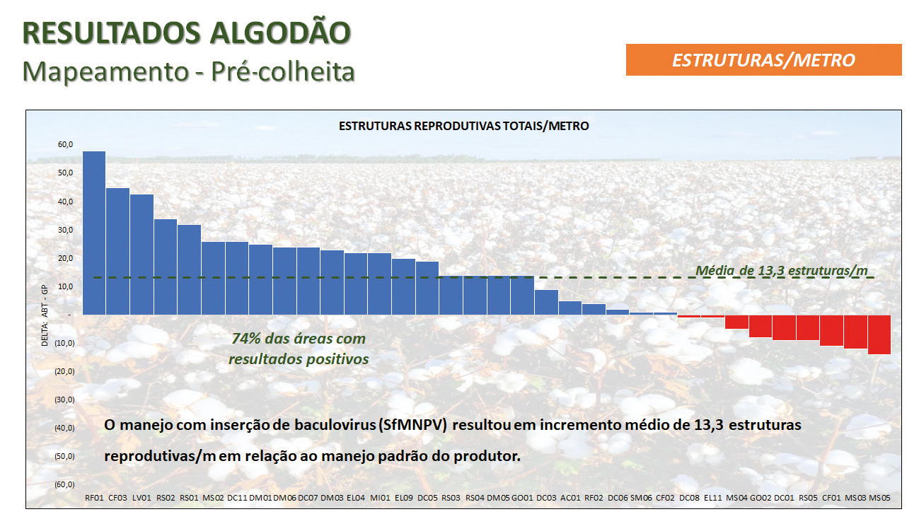 Figura 4 - Média de incremento do número de estruturas reprodutivas do algodoeiro por metro linear dos talhões com inserção de baculovírus em relação aos talhões sem inserção do baculovírus = manejo do produtor). Fonte: AgBiTech (dados auditados pela SGS do Brasil)