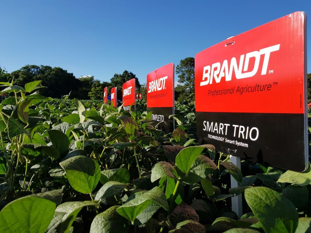 Brandt leva tecnologias para soja, milho e feijão no Dia de Campo da Agrícola Santo Grão, em Palotina (PR)