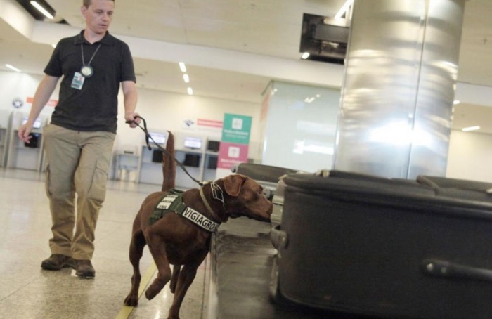 Inspeções do Vigiagro em aeroportos crescem 17,8%