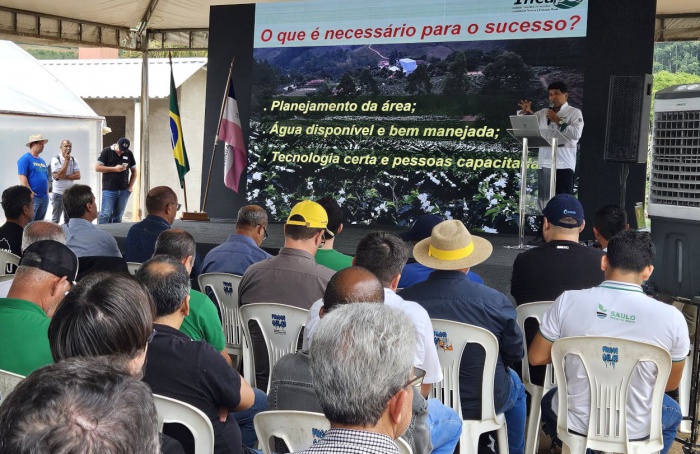 Espírito Santo inicia colheita da safra 2025 de café arábica