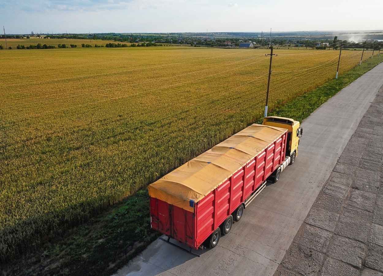 Produção recorde de grãos sustenta cotações de frete
