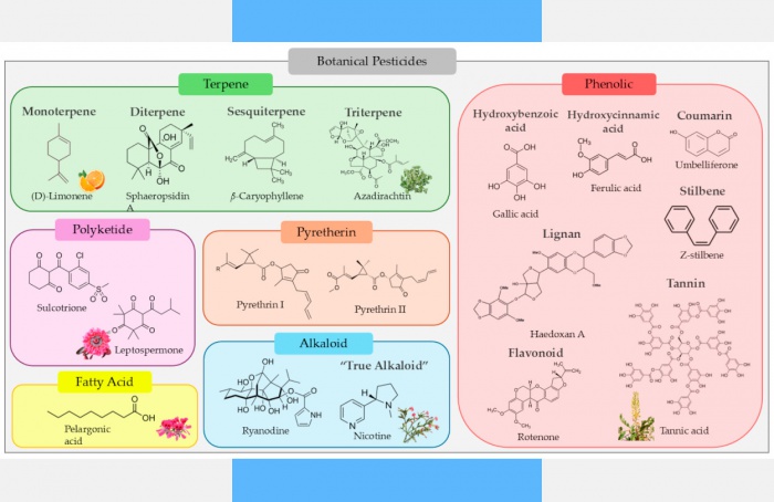 Pesquisa indica que biopesticidas naturais impactam o solo agrícola