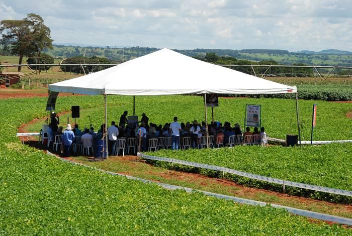 Tecnologias sobre milho, sorgo e amendoim serão mostradas na ExpoTec 2019